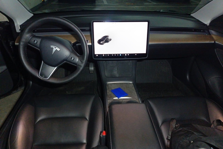 Tesla Model 3 2021 #12 Tesla Model 3 2021 immagine di auto #12