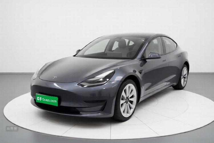 Tesla Model 3 2021 #2 Tesla Model 3 2021 car image #2