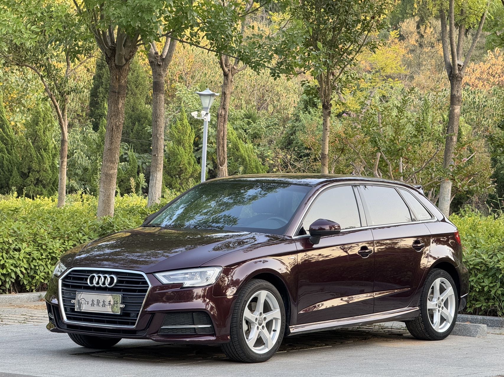 Audi A3 2019 car image 