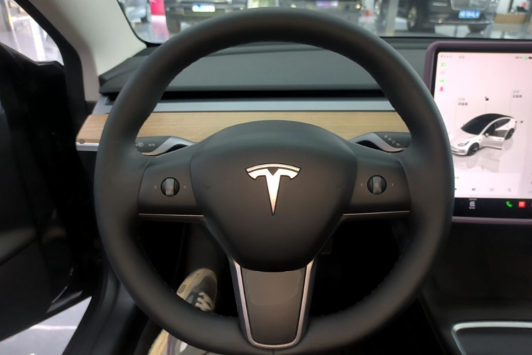 Tesla Model 3 2022 car image #11
