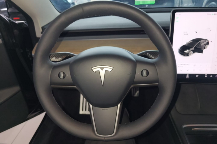 Tesla Model 3 2021 #11 Tesla Model 3 2021 car image #11