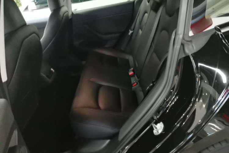 Tesla Model 3 2021 car image #17