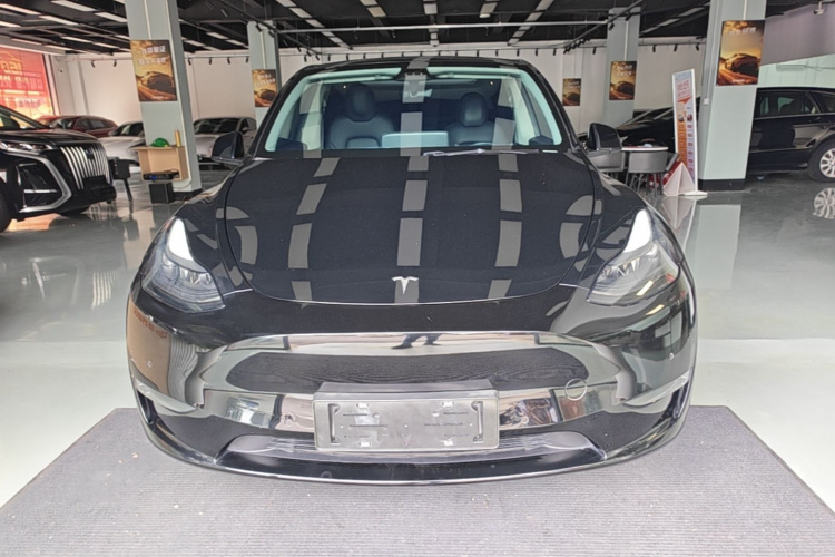Tesla Model Y 2021 #3 Tesla Model Y 2021 car image #3