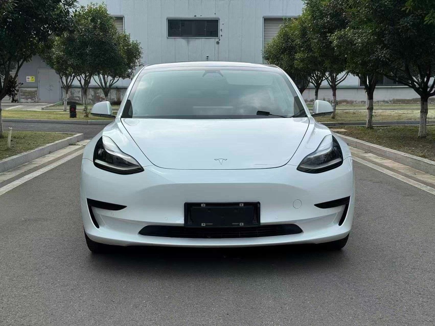 Tesla Model 3 (Imported) 2020 #2 Tesla Model 3 (Imported) 2020 immagine di auto #2