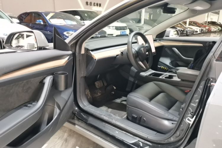 Tesla Model 3 2021 car image #16