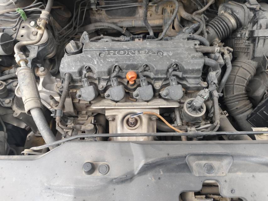 2010 #9 2010 immagine di auto #9