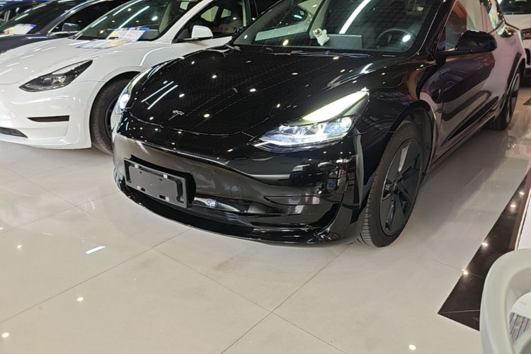 Tesla Model 3 2021 imagem de carro #29