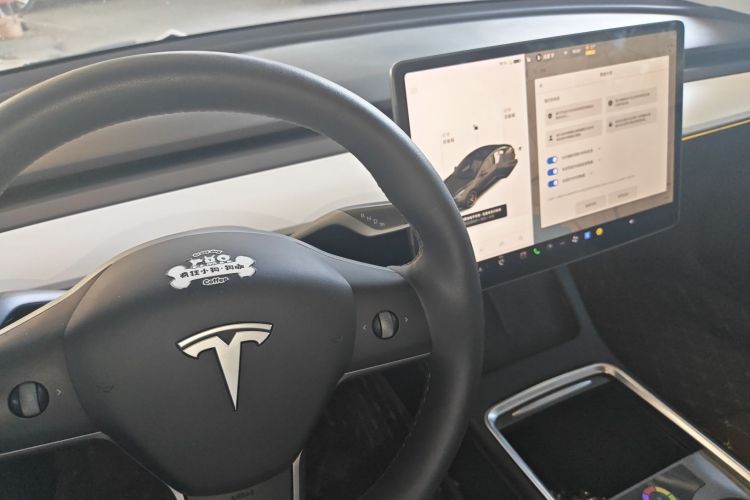 Tesla Model 3 2021 #14 Tesla Model 3 2021 immagine di auto #14