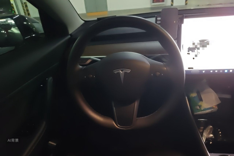 Tesla Model 3 2020 immagine di auto #12