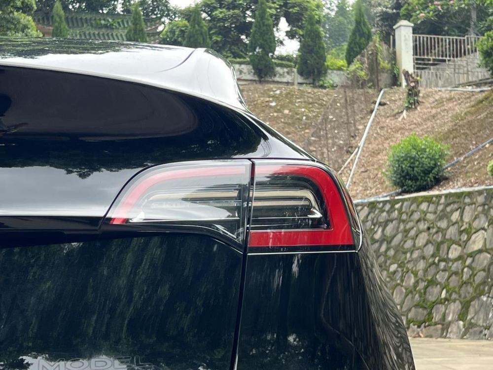 Tesla Model Y 2023 #8 Tesla Model Y 2023 car image #8