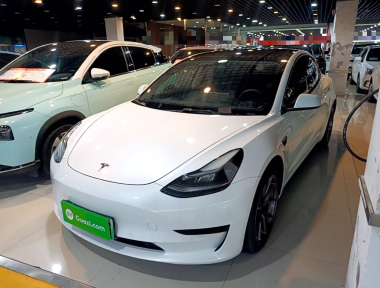 Tesla Model 3 2021 Tesla Model 3 2021 car image