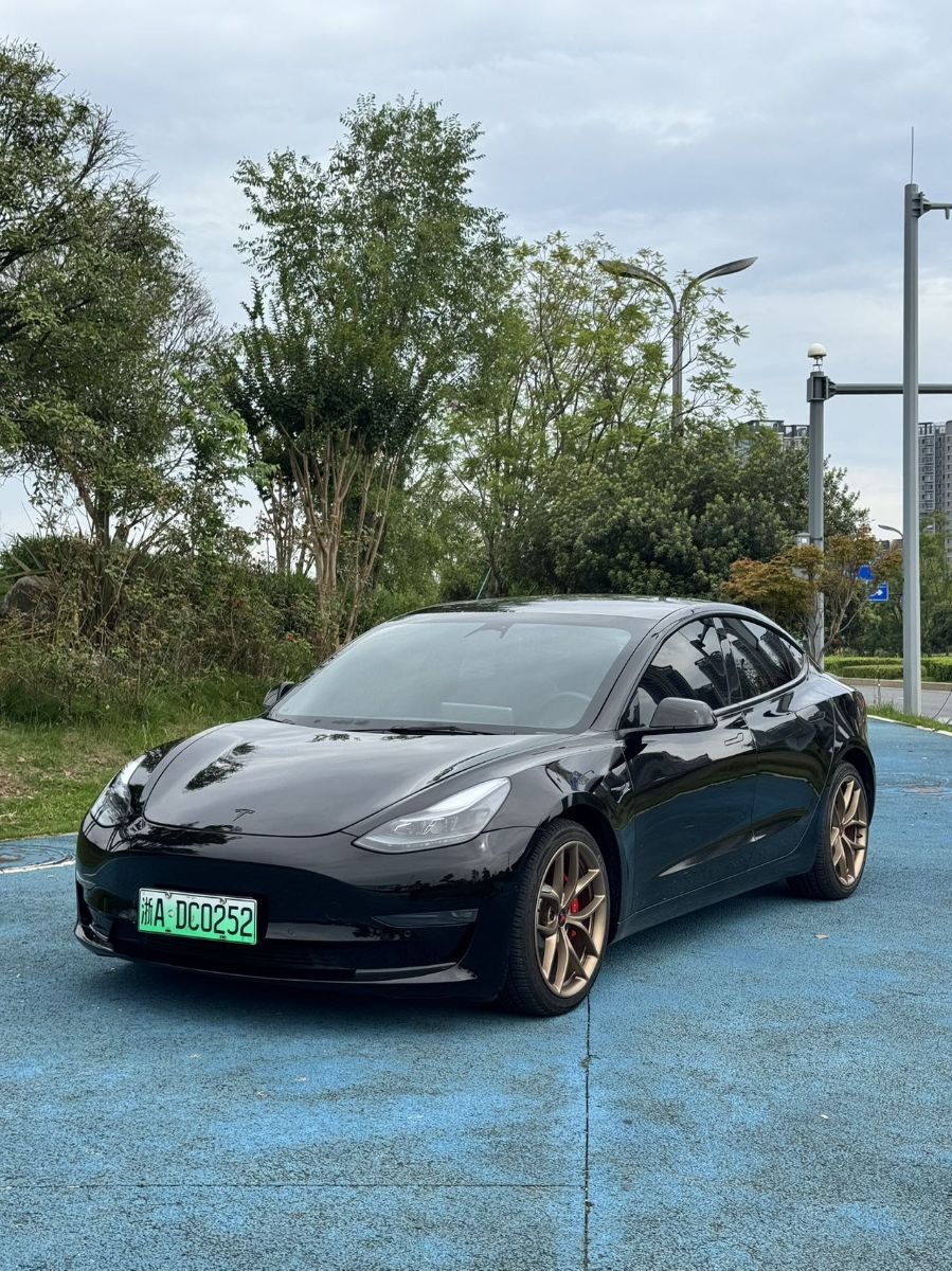 Tesla Model 3 2021 car image 
