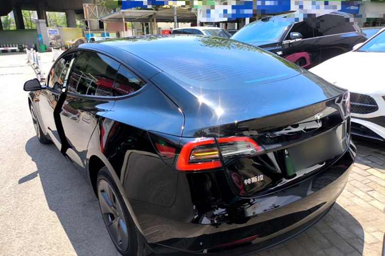 Tesla Model 3 2023 #5 Tesla Model 3 2023 car image #5