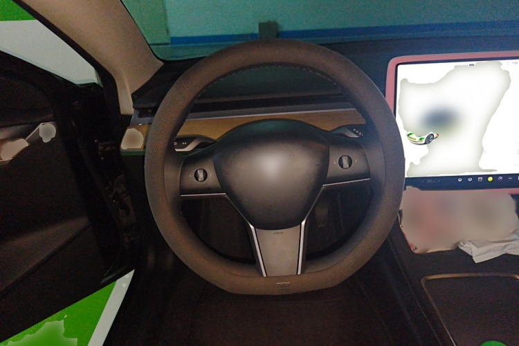 Tesla Model 3 2021 car image #15