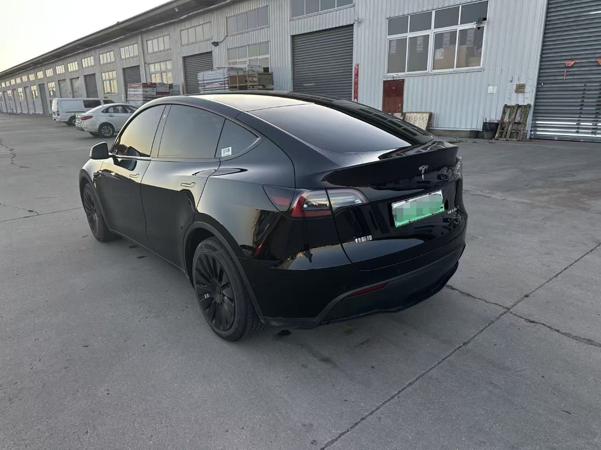Tesla Model Y 2022 car image #2