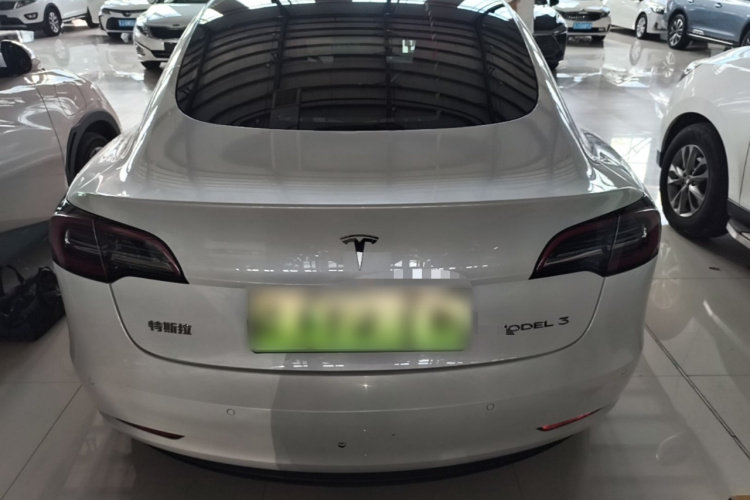 Tesla Model 3 2021 #6 Tesla Model 3 2021 car image #6