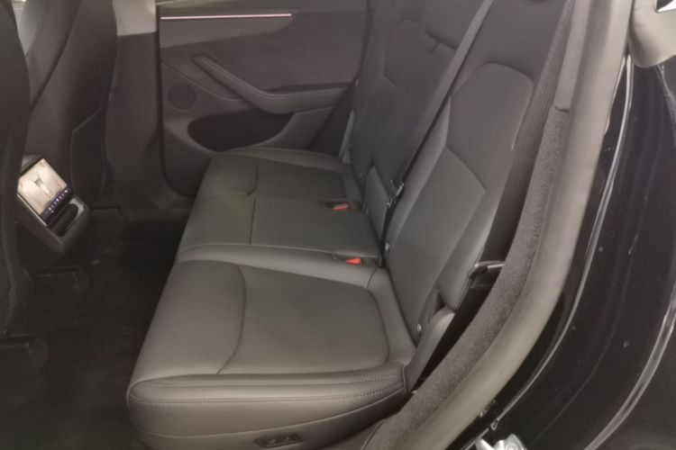 Tesla Model Y 2025 #17 Tesla Model Y 2025 car image #17