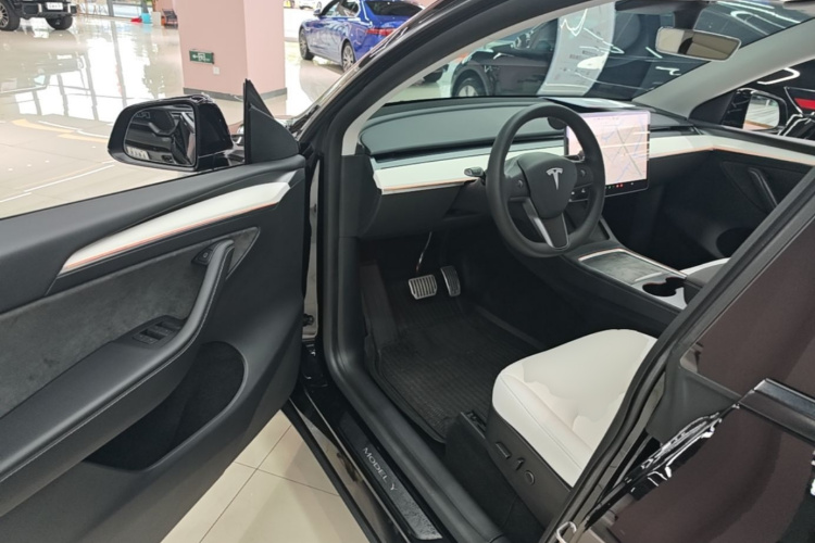 Tesla Model Y 2021 car image #16