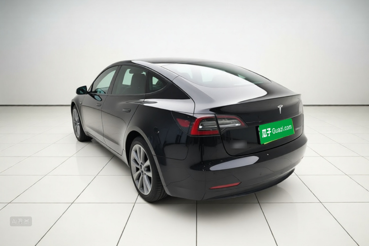 Tesla Model 3 2021 #5 Tesla Model 3 2021 car image #5