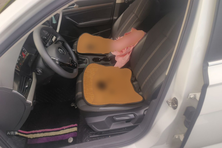 Volkswagen Lavida 2019 car image #17