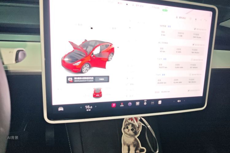 Tesla Model Y 2021 car image #10