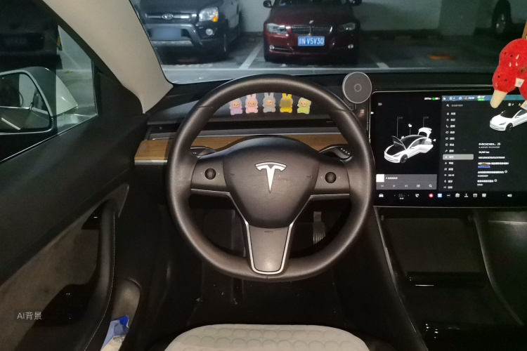 Tesla Model 3 2020 car image #12