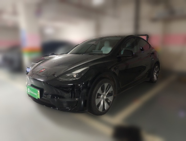 Tesla Model Y 2021 Tesla Model Y 2021 car image
