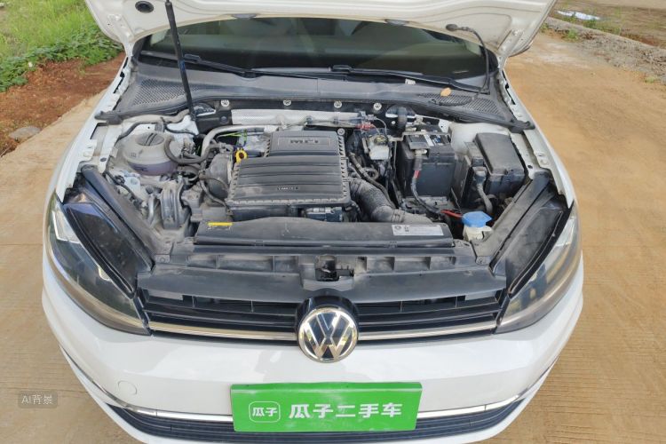 Volkswagen Golf 2019 #22 Volkswagen Golf 2019 car image #22