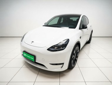Tesla Model Y 2023 Tesla Model Y 2023 car image