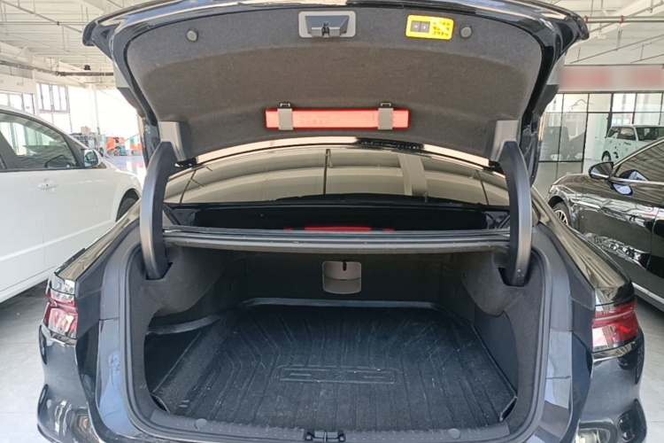 BYD Han 2024 car image #21
