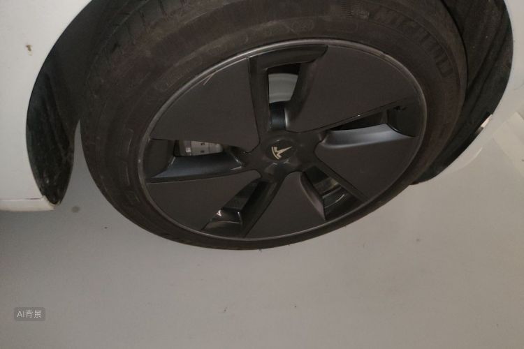 Tesla Model 3 2023 car image #9