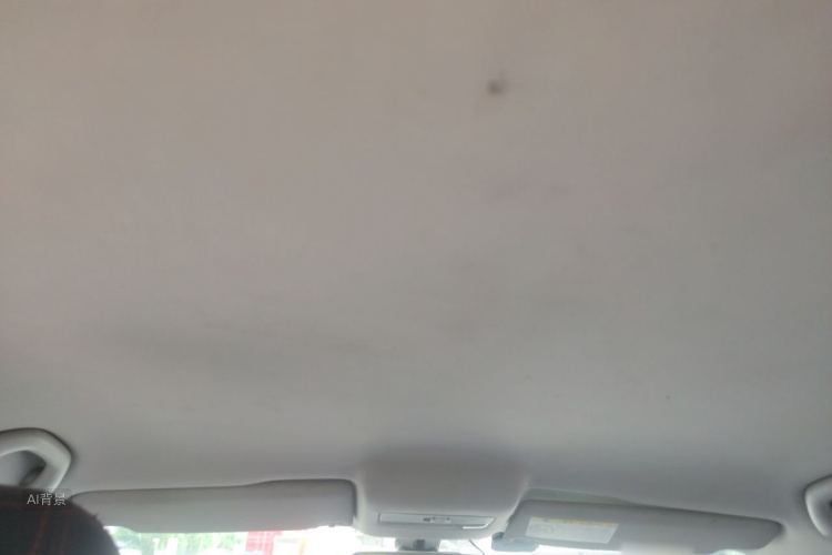 Volkswagen Polo 2015 car image #20