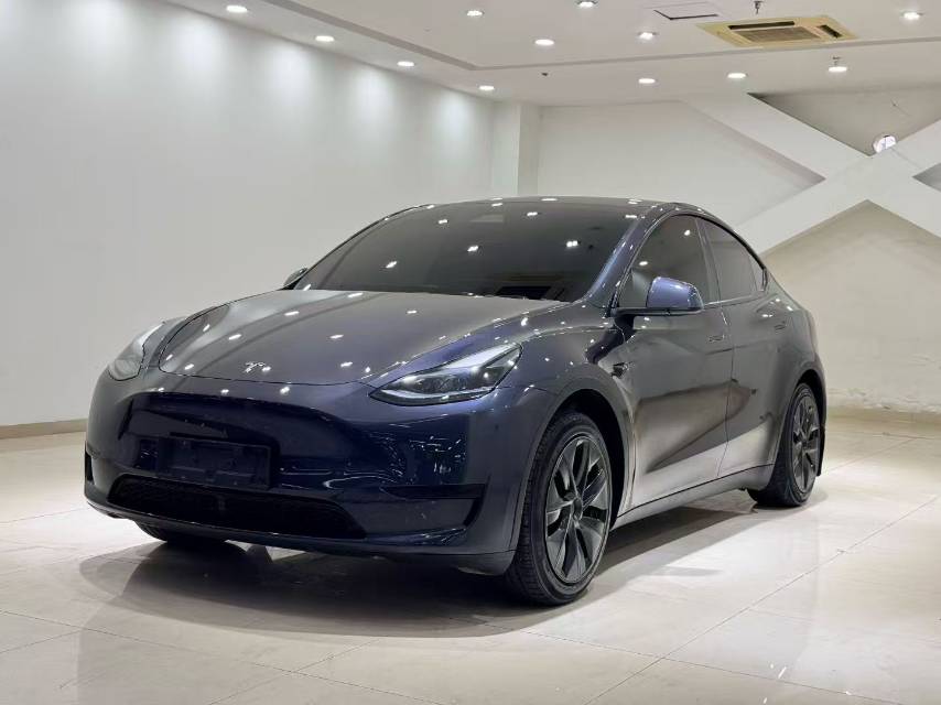Tesla Model Y 2024 car image 