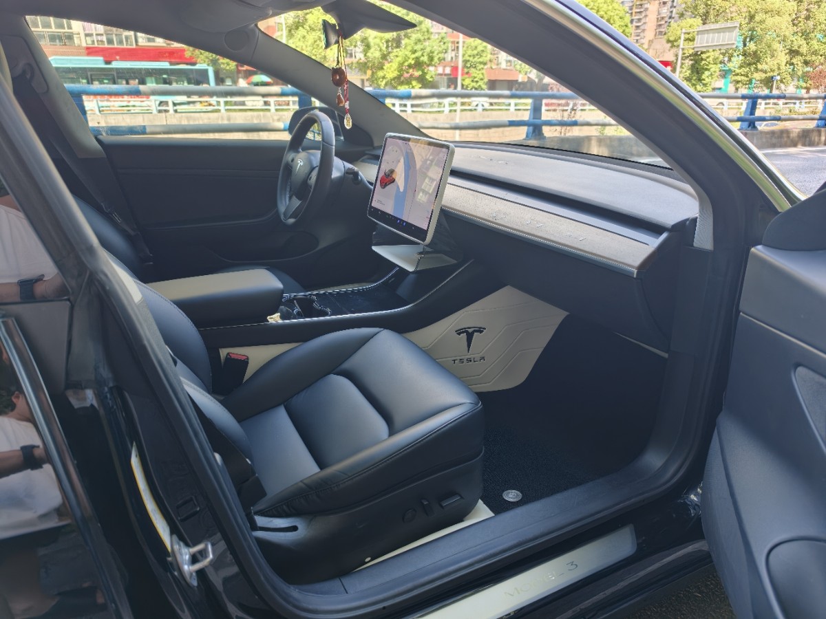 Tesla Model 3 2020 car image #6