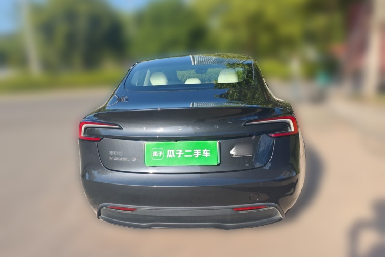 Tesla Model 3 2025 car image #6