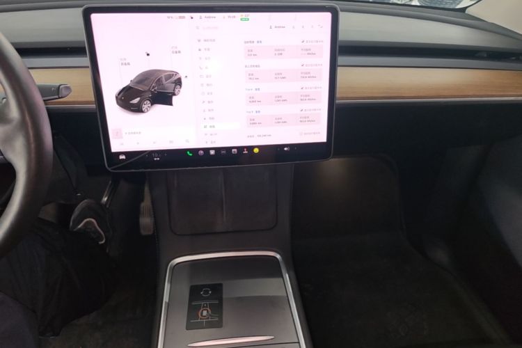 Tesla Model Y 2021 car image #13