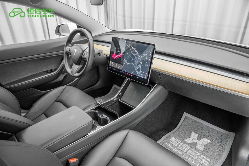Tesla Model 3 2020 car image #16