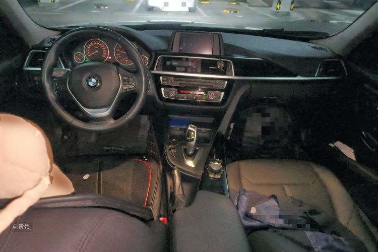 BMW 3 Series 2017 car image #11