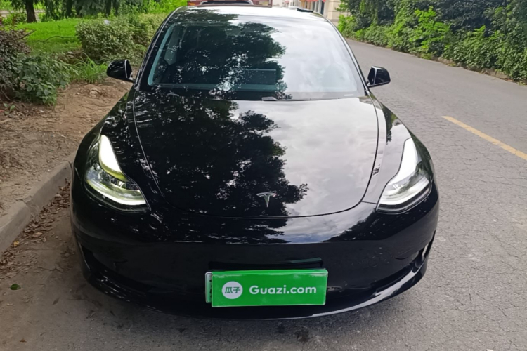 Tesla Model 3 2021 #3 Tesla Model 3 2021 car image #3