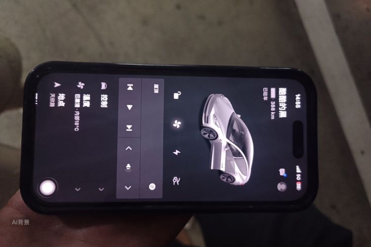Tesla Model 3 2021 car image #10