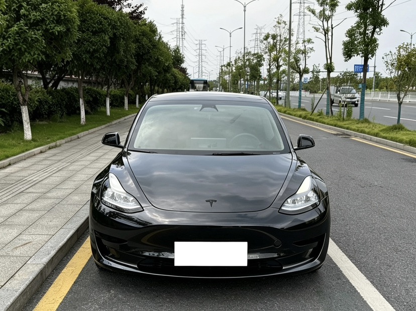 Tesla Model 3 2023 #2 Tesla Model 3 2023 car image #2