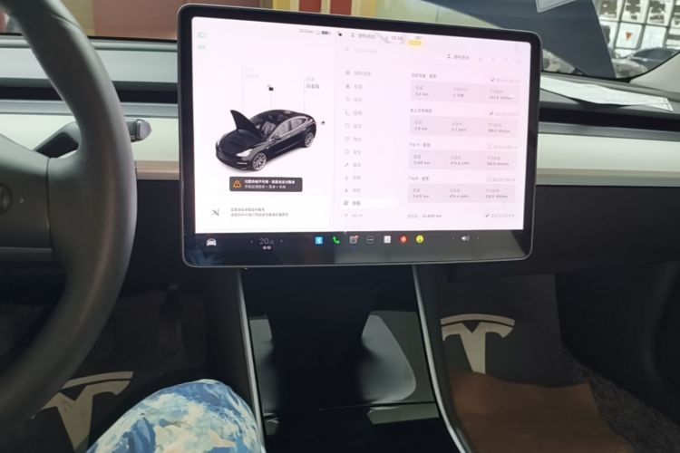 Tesla Model 3 2020 car image #17