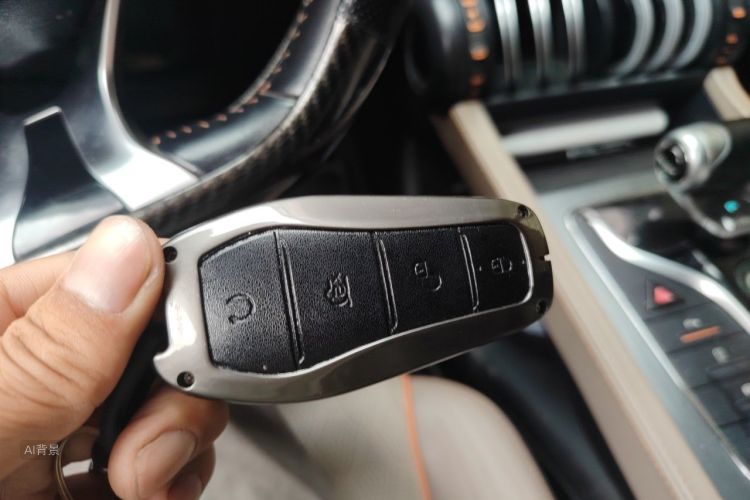 BYD Yuan Plus 2024 car image #10