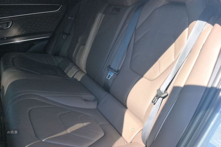 BYD Han 2022 car image #19