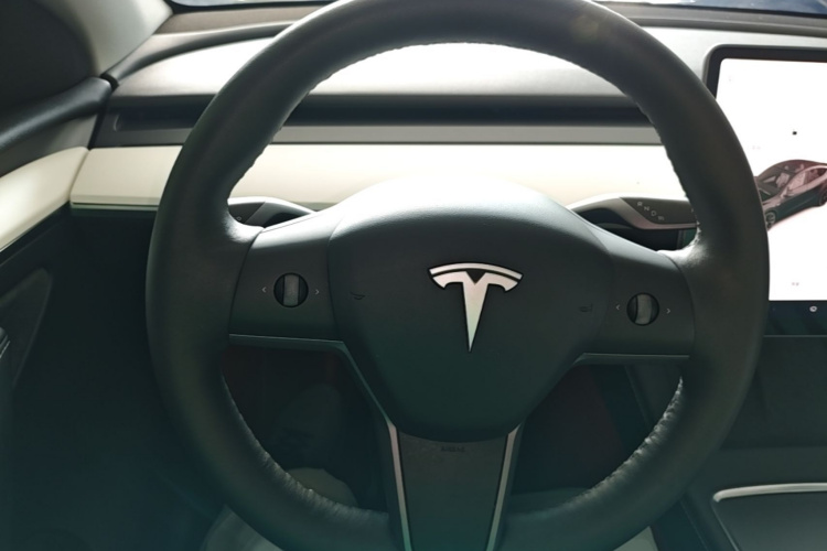 Tesla Model Y 2021 #15 Tesla Model Y 2021 car image #15