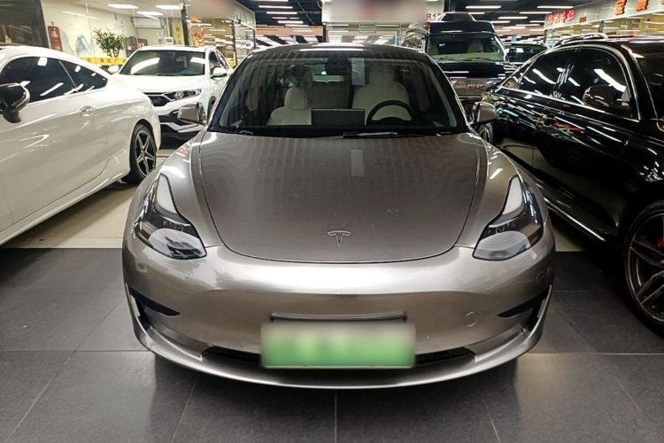 Tesla Model 3 2021 #3 Tesla Model 3 2021 car image #3