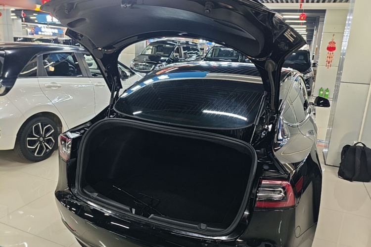 Tesla Model 3 2020 #19 Tesla Model 3 2020 car image #19