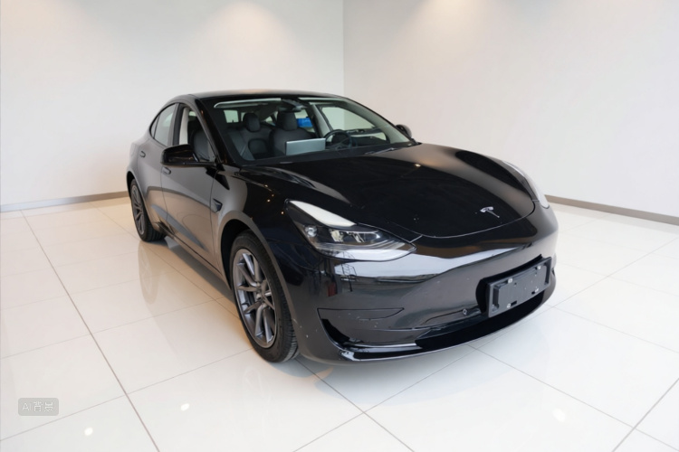 Tesla Model 3 2021 car image #4