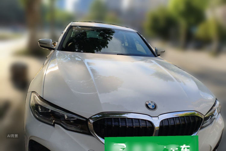BMW 3 Series 2019 #3 BMW 3 Series 2019 car image #3