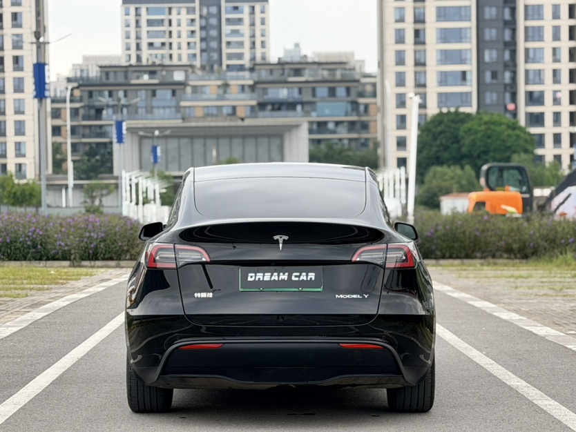 Tesla Model Y 2022 car image #10